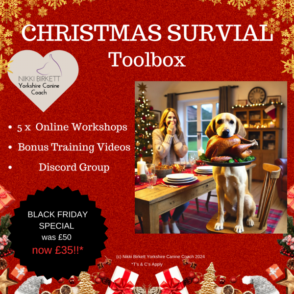 Christmas Survival Toolkit