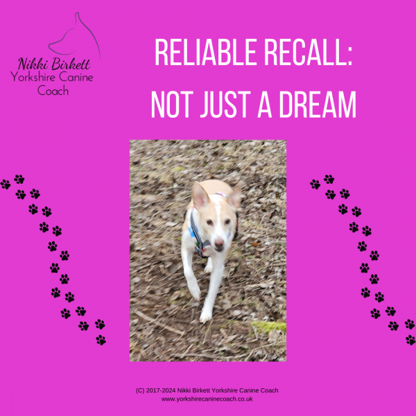 Reliable Recall