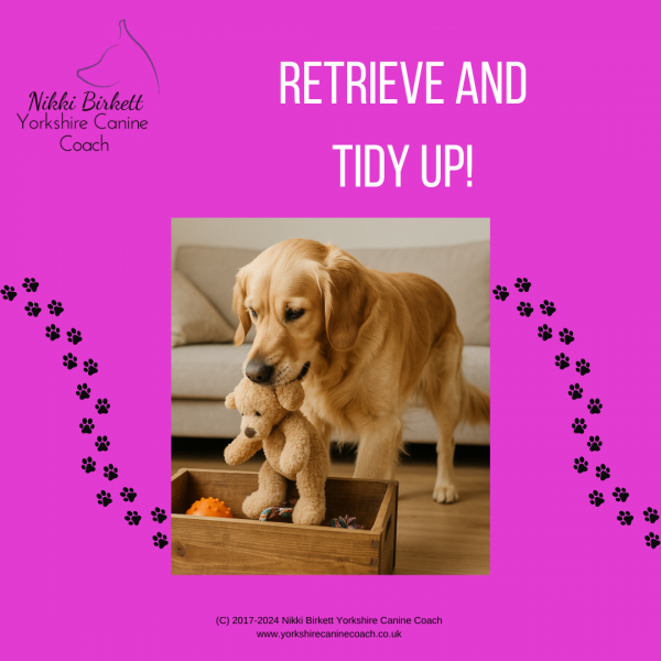 Retrieve and Give!