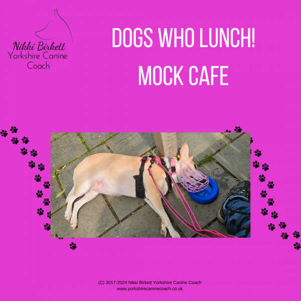 Dogs who Lunch