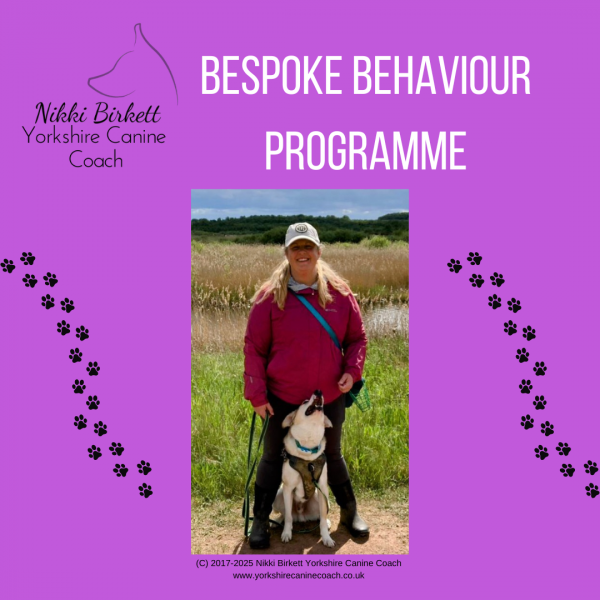 Bespoke Behaviour Coaching