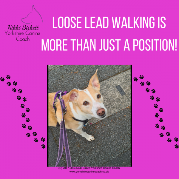 Loose Leaders