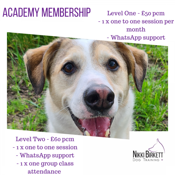 Membership Level 1